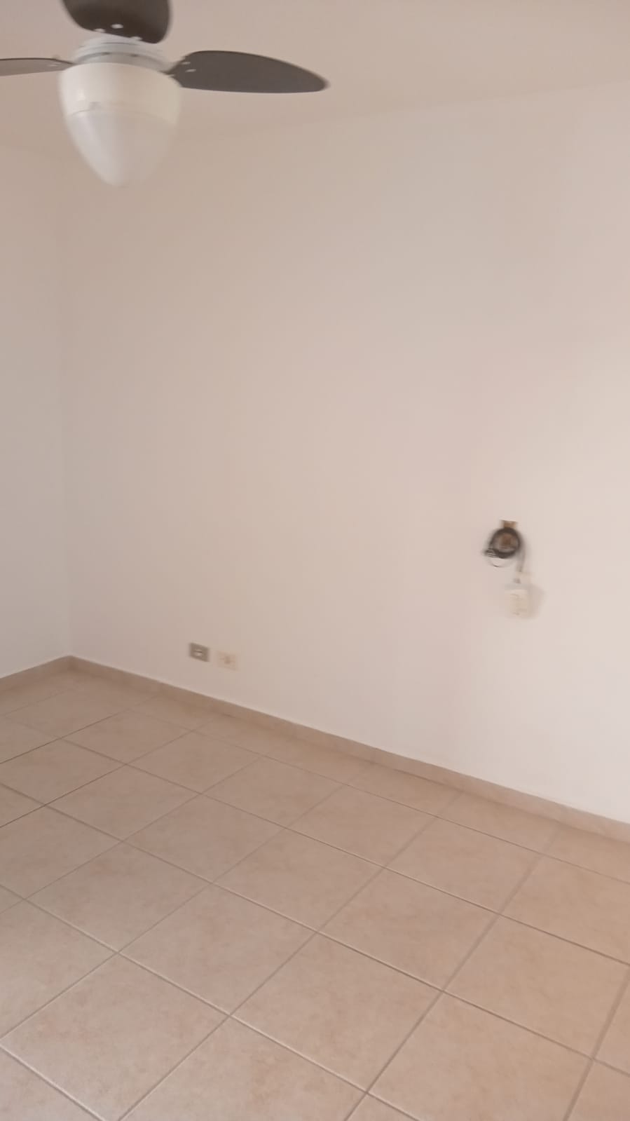 WhatsApp Image 2025-07-24 at 11.47.17