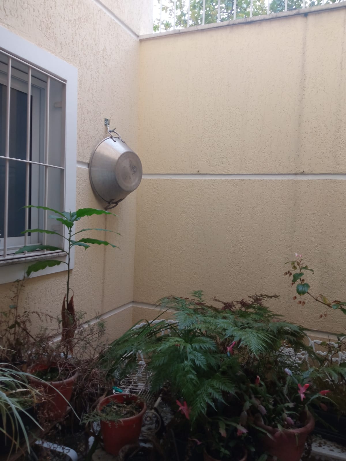 WhatsApp Image 2025-10-06 at 10.05.07 (3)