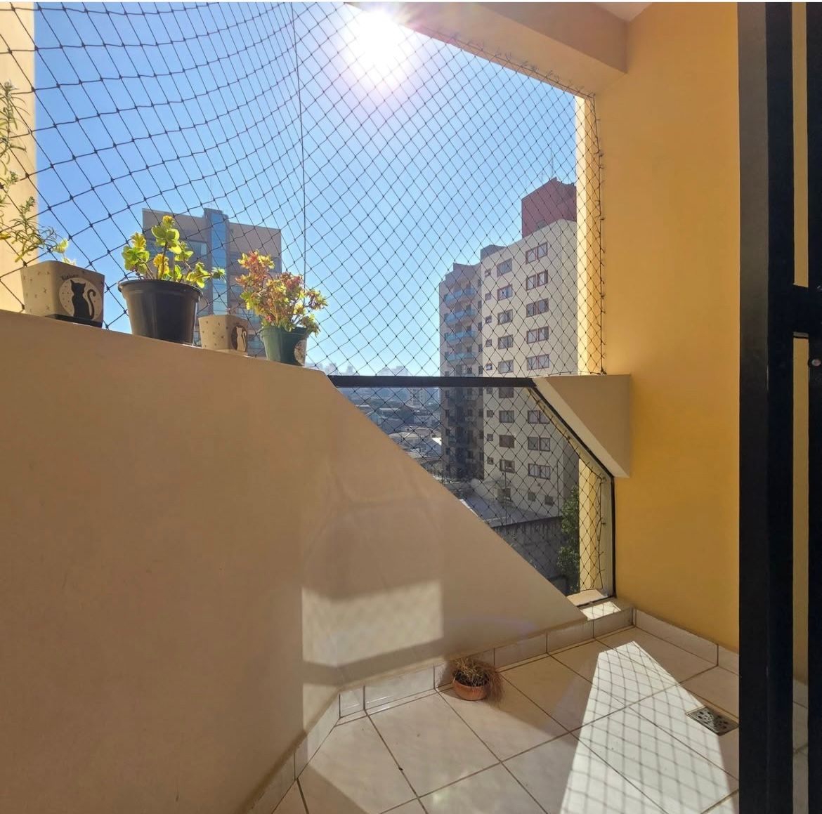 WhatsApp Image 2025-11-12 at 11.02.36