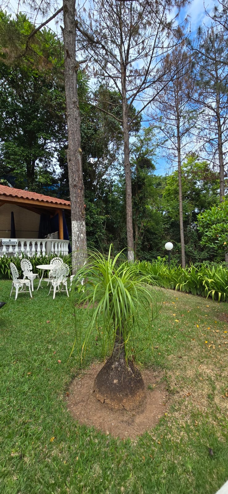 WhatsApp Image 2025-12-09 at 13.00.59 (1)