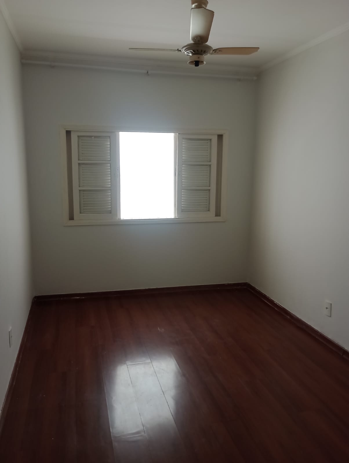 WhatsApp Image 2026-02-02 at 10.32.42