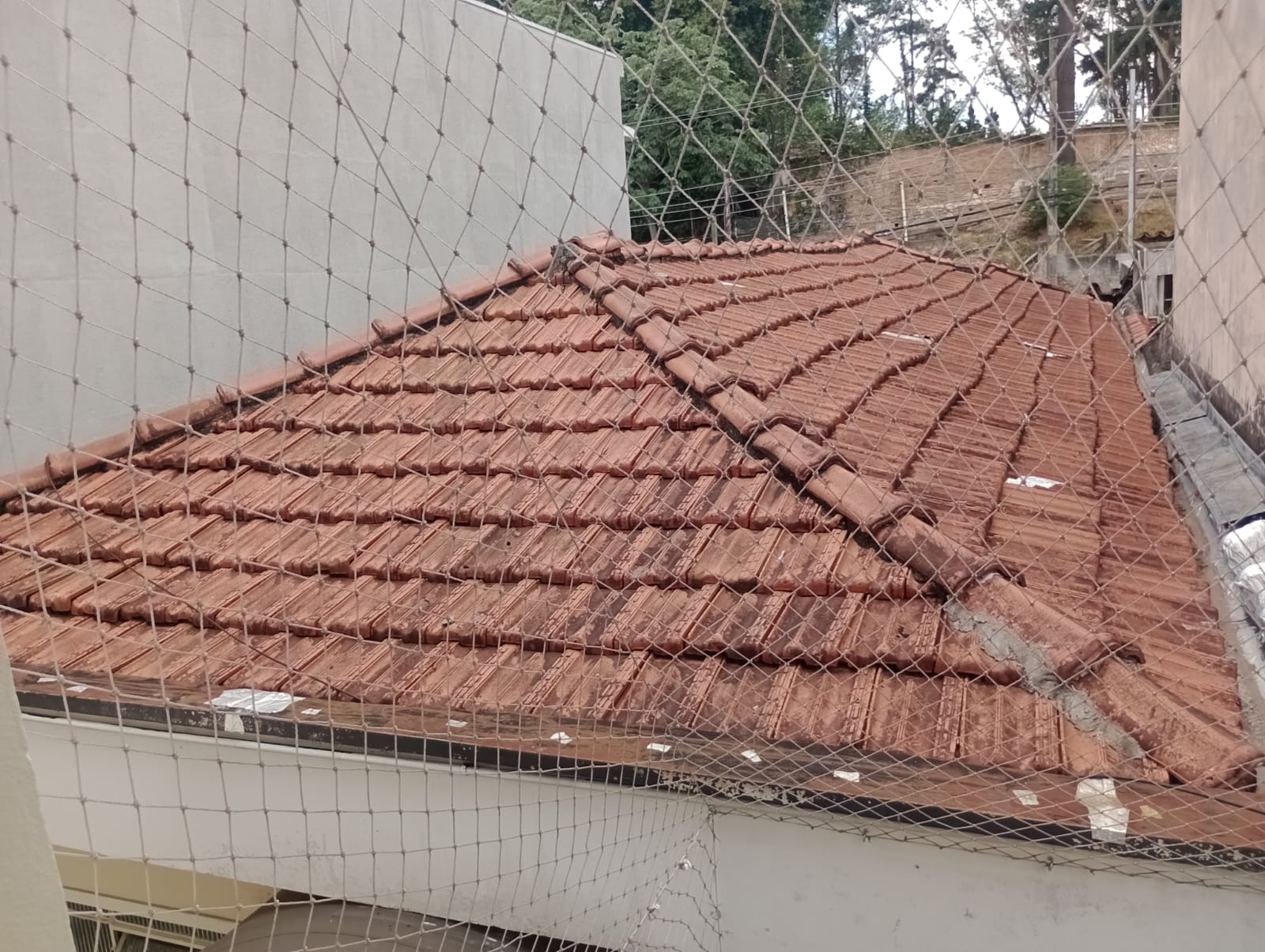 WhatsApp Image 2026-02-02 at 10.32.53 (1)