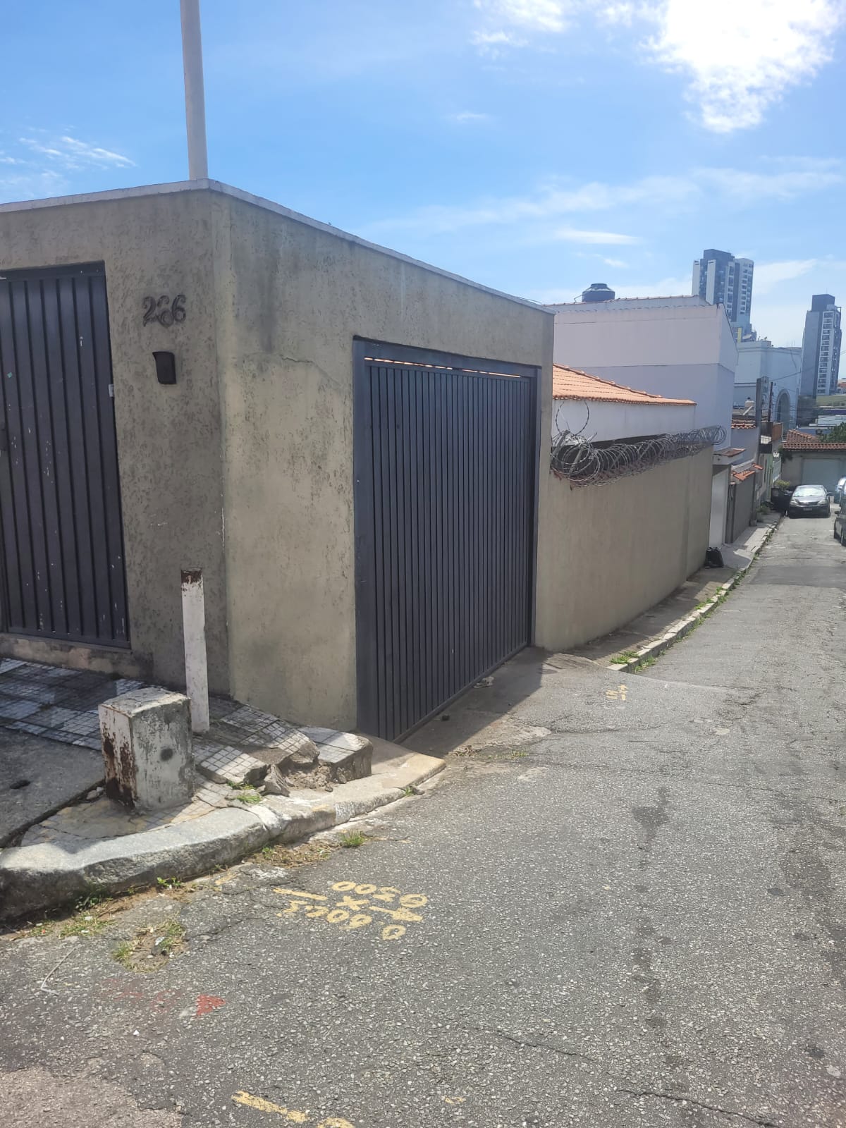 WhatsApp Image 2026-02-04 at 11.50.06