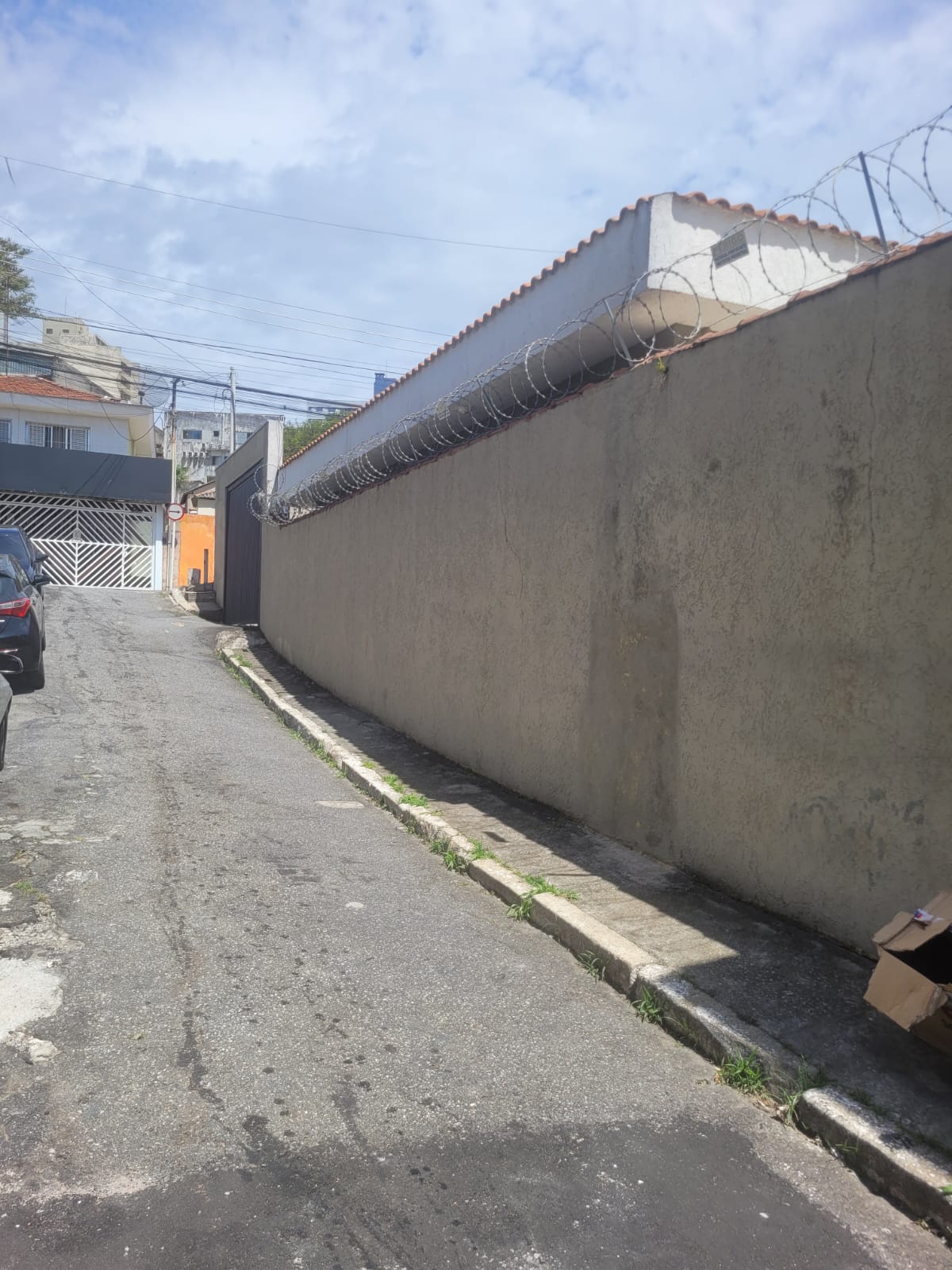 WhatsApp Image 2026-02-04 at 11.50.13