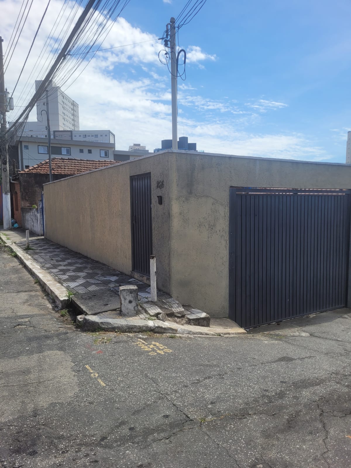 WhatsApp Image 2026-02-04 at 11.50.20