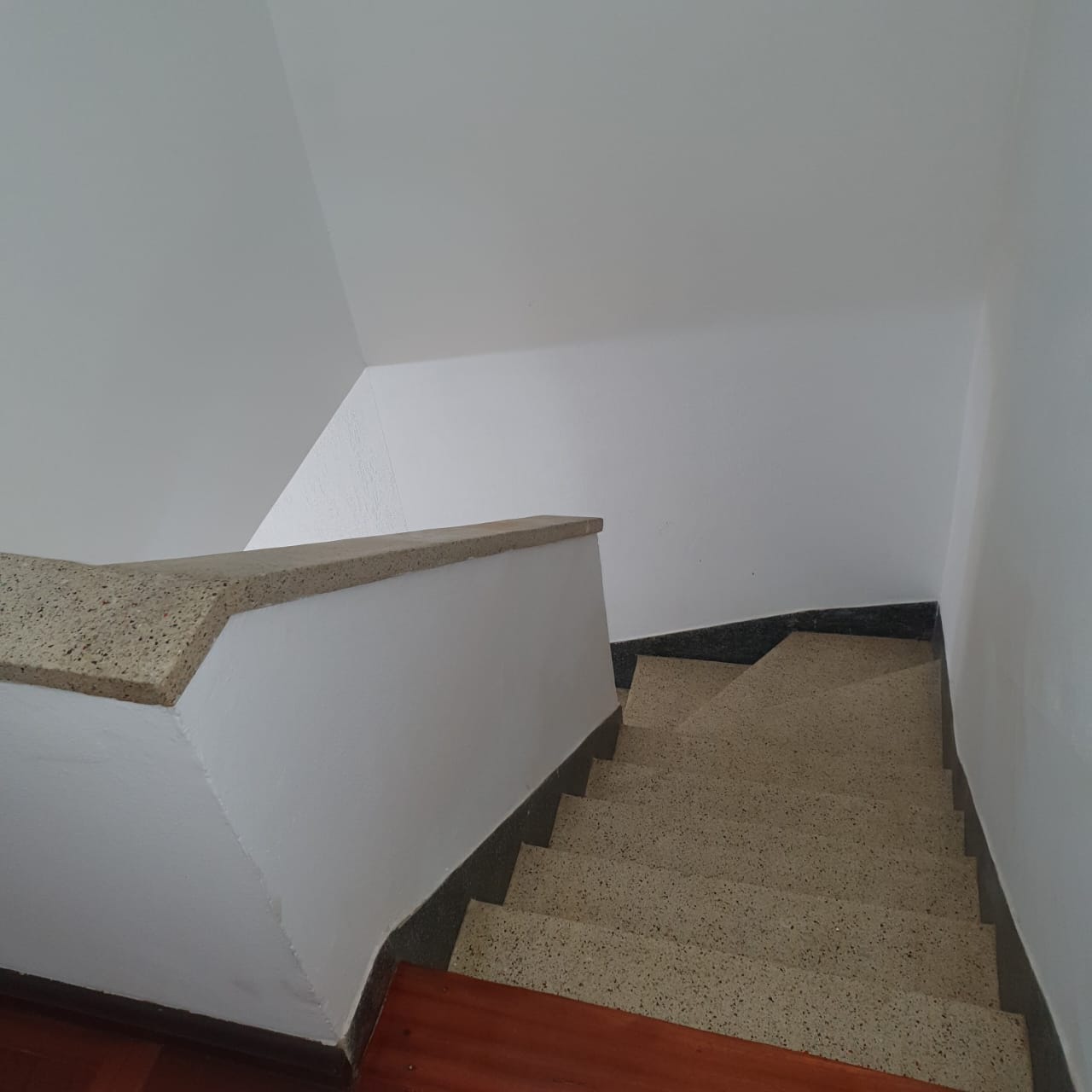 WhatsApp Image 2026-02-25 at 19.18.30