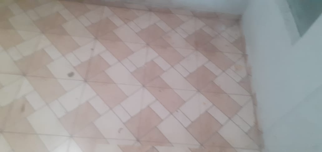 WhatsApp Image 2026-03-11 at 11.57.15