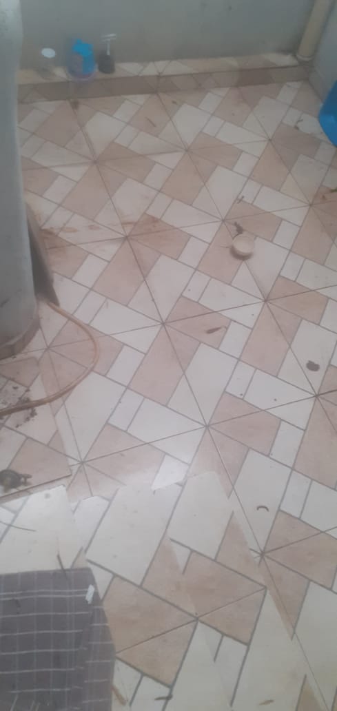 WhatsApp Image 2026-03-11 at 11.57.16