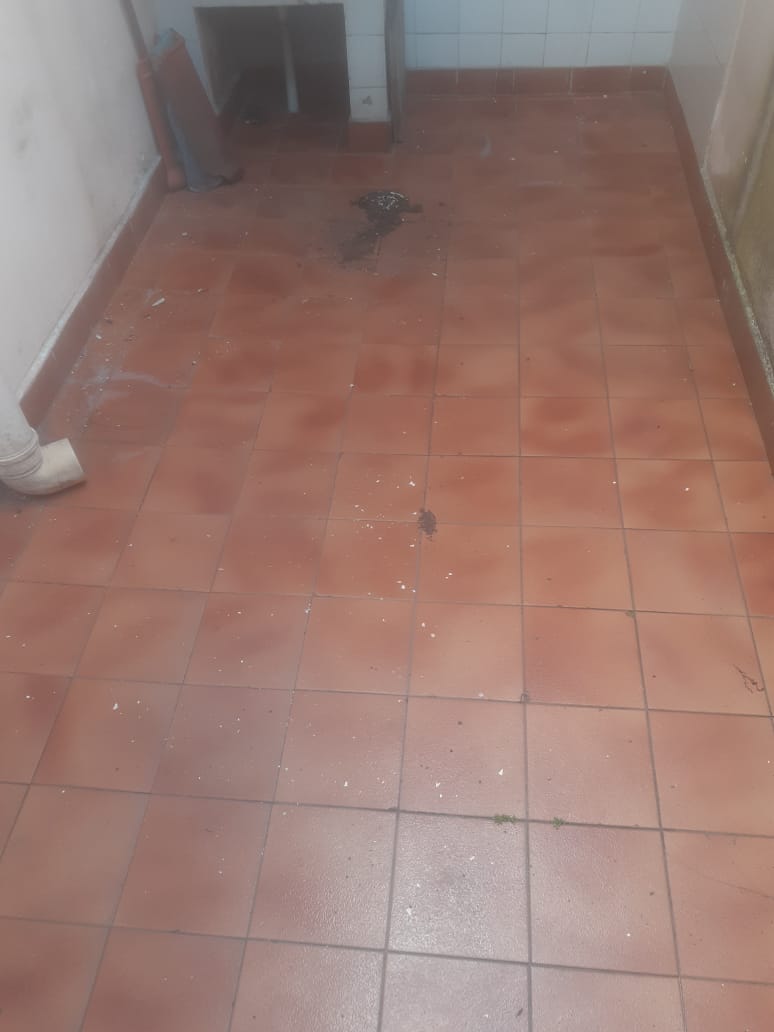 WhatsApp Image 2026-03-17 at 11.48.21